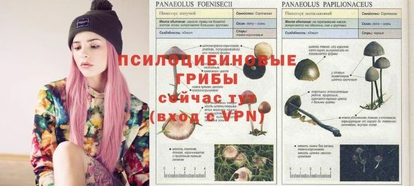прущая мука Арсеньев