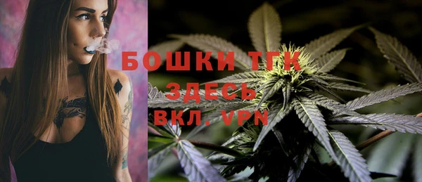 прущая мука Арсеньев