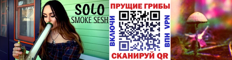 площадка телеграм  Белорецк  Псилоцибиновые грибы Psilocybe 
